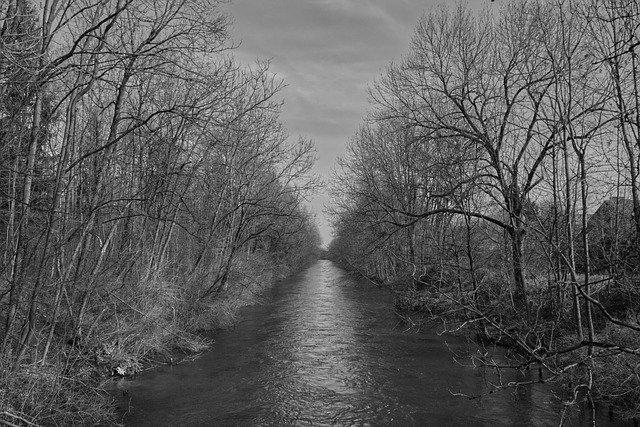 Free download Forest River Water -  free photo or picture to be edited with GIMP online image editor