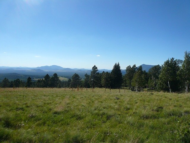 Free download Forest San Francisco Peaks -  free photo or picture to be edited with GIMP online image editor