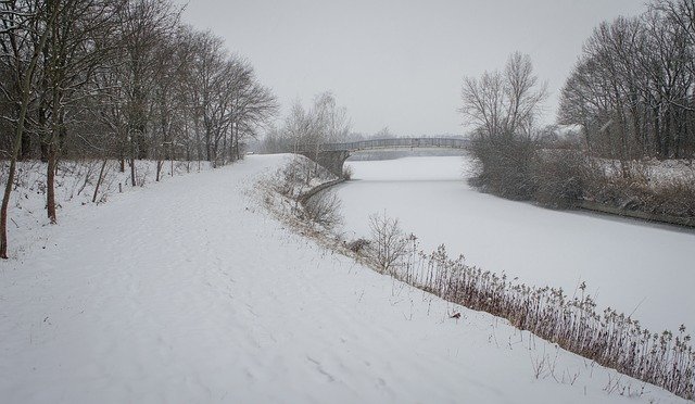 Free download Forest Winter Outdoor free photo template to be edited with GIMP online image editor