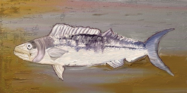 Free download Fossils Fish Meeresbewohner -  free illustration to be edited with GIMP free online image editor