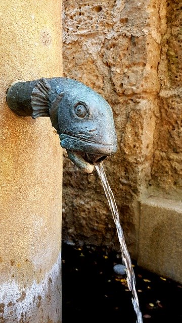 Free download Fountain Fish Head Brass Water -  free photo or picture to be edited with GIMP online image editor