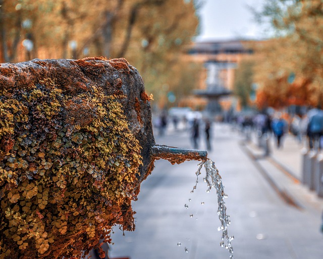 Free download fountain public spout water free picture to be edited with GIMP free online image editor