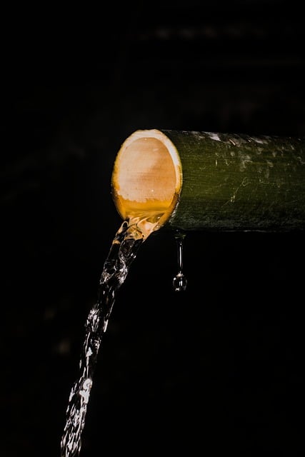 Free download fountain water bamboo night drops free picture to be edited with GIMP free online image editor