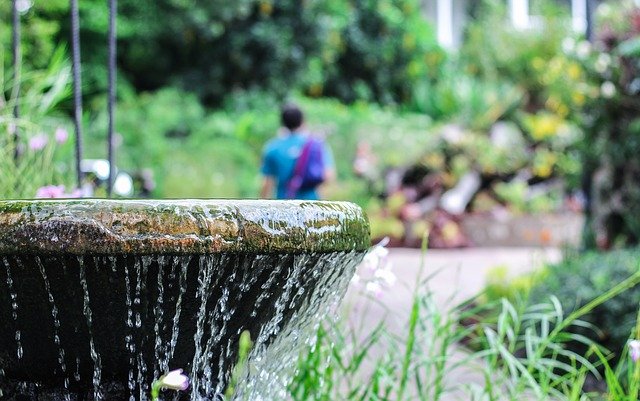 Free download Fountain Water Botanic Garden -  free photo or picture to be edited with GIMP online image editor