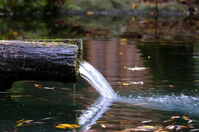 Free download fountain water fountain tree trunk free picture to be edited with GIMP free online image editor