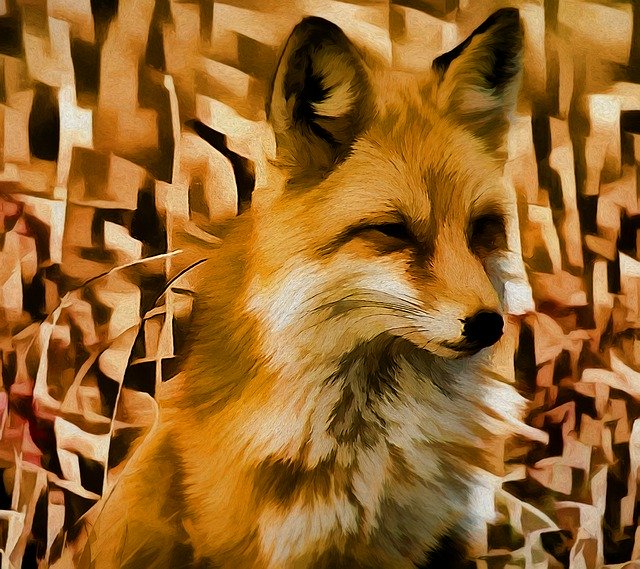 Free download Fox Wildlife Nature -  free illustration to be edited with GIMP free online image editor