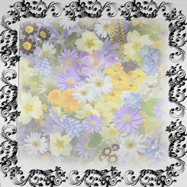 Free download Frame Template Flowers -  free illustration to be edited with GIMP free online image editor