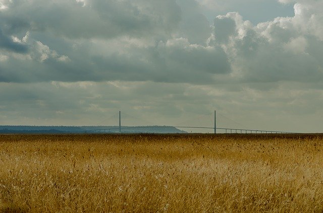 Free download France Landscape Reed Bed -  free photo or picture to be edited with GIMP online image editor