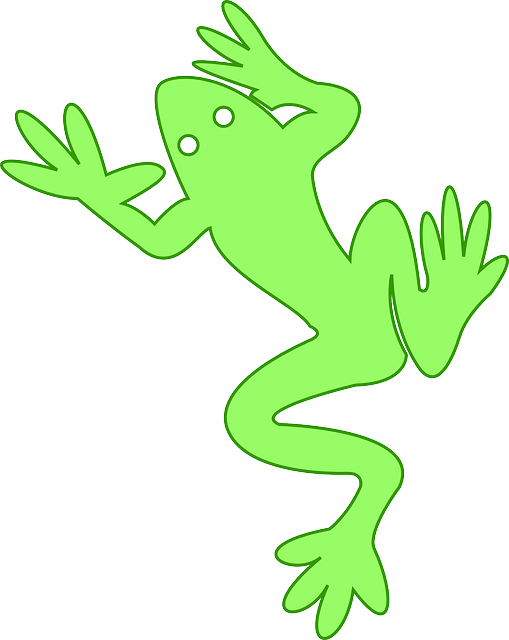 Free download Frog Amphibian - Free vector graphic on Pixabay free illustration to be edited with GIMP free online image editor