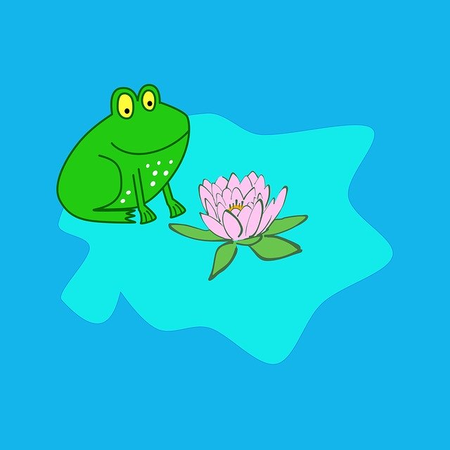 Free download Frog Flower Lilypad Lily -  free illustration to be edited with GIMP free online image editor