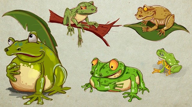 Free download Frog Sheet Creeping Things -  free illustration to be edited with GIMP free online image editor