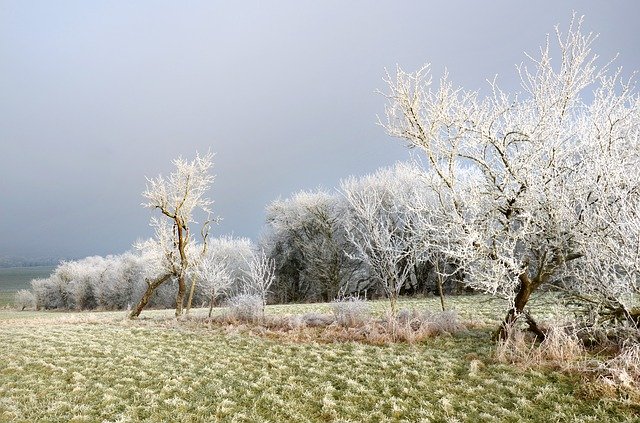 Free download Frost Countryside Mirabelier -  free photo or picture to be edited with GIMP online image editor