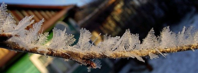 Free download Frost Macro Beauty -  free free photo or picture to be edited with GIMP online image editor