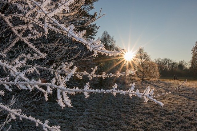 Free download Frost Winter Frozen -  free photo or picture to be edited with GIMP online image editor