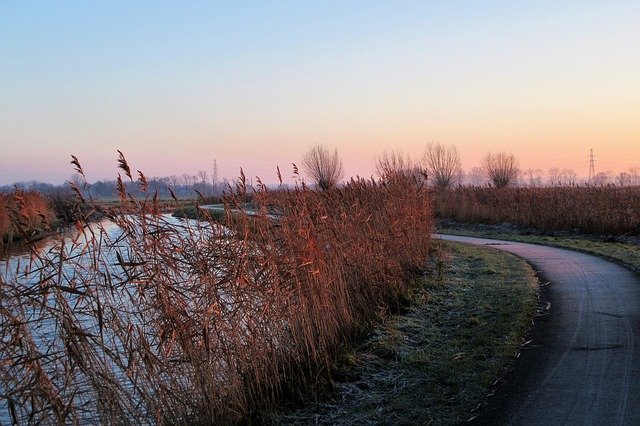 Free download Frozen Sunrise Reed -  free photo or picture to be edited with GIMP online image editor