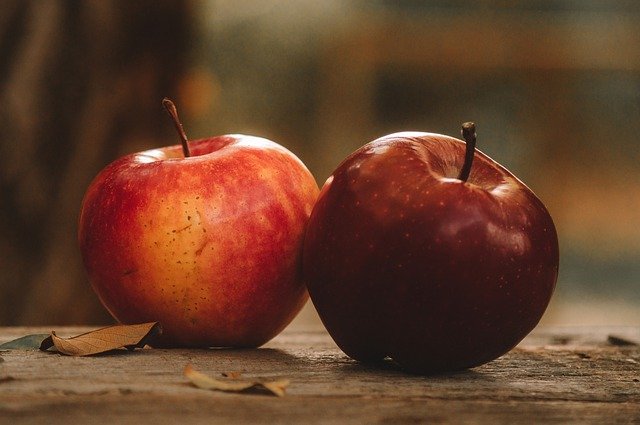 Free download fruit apples red organic healthy free picture to be edited with GIMP free online image editor