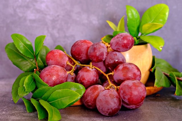 Free download fruit grapes hd wallpaper organic free picture to be edited with GIMP free online image editor