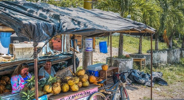 Free download Fruit Stand Guatemala Pineapple -  free photo or picture to be edited with GIMP online image editor