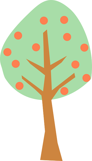 Free download Fruit Tree Peaches - Free vector graphic on Pixabay free illustration to be edited with GIMP free online image editor