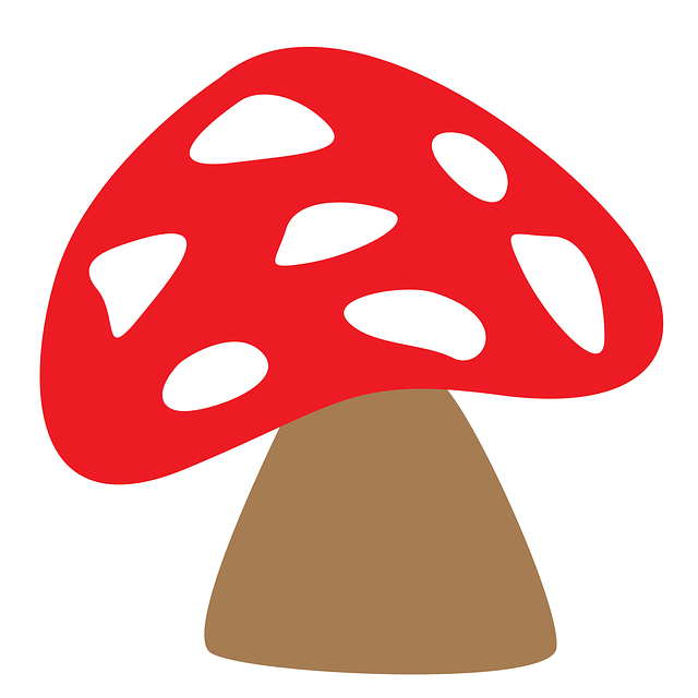 Free download Fungus Mushrooms Tree -  free illustration to be edited with GIMP free online image editor