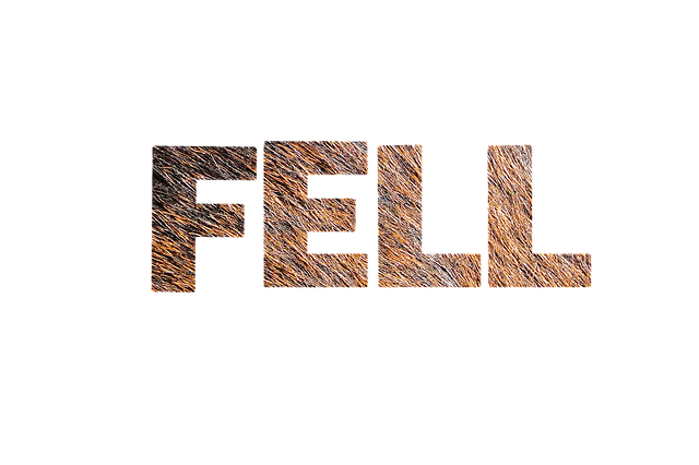 Free download Fur Texture Lettering -  free illustration to be edited with GIMP free online image editor