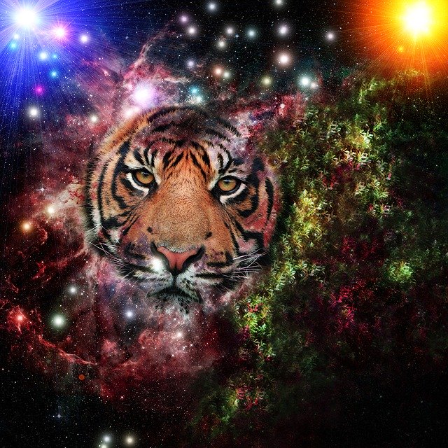 Kostenloser Download von Galaxy Tiger Universe – kostenlose Illustration zur Bearbeitung mit dem kostenlosen Online-Bildeditor GIMP