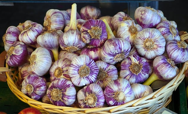 Free download garlic vegetables food nourishment free picture to be edited with GIMP free online image editor