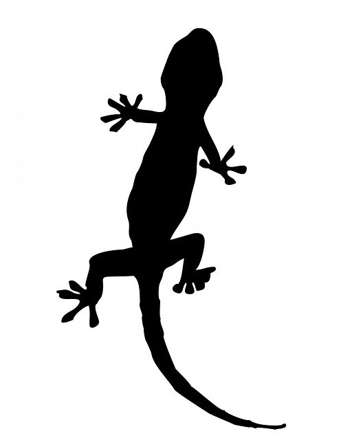 Free download Gecko Lizard Animal -  free illustration to be edited with GIMP free online image editor