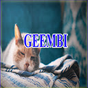 Geembis cat blanket interface  screen for extension Chrome web store in OffiDocs Chromium