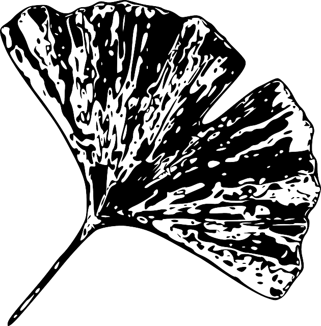 Free download Gingko Leaf - Free vector graphic on Pixabay free illustration to be edited with GIMP free online image editor