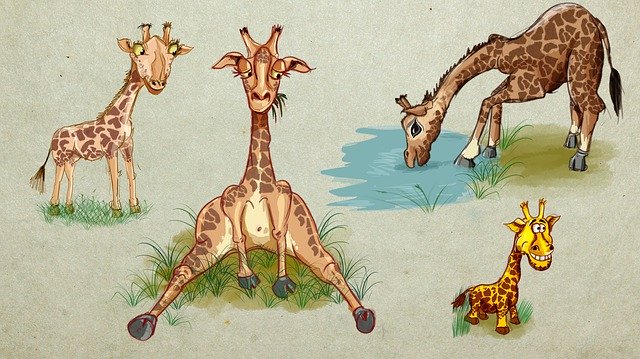 Free download Giraffe Camelopard Okapi -  free illustration to be edited with GIMP free online image editor