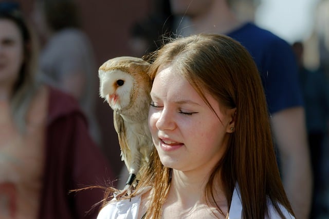 Free download girl barn owl shoulder bird of prey free picture to be edited with GIMP free online image editor