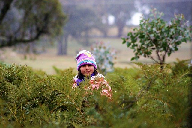 Free download Girl Cute Ferns Misty -  free photo or picture to be edited with GIMP online image editor