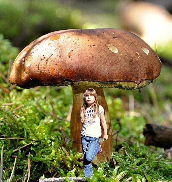 Free download Girl Mushroom Dreams -  free illustration to be edited with GIMP free online image editor