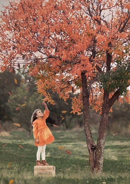 Free download girl tree orange dress autumn fall free picture to be edited with GIMP free online image editor