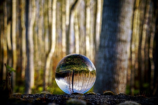 Free download glass sphere forest trees nature free picture to be edited with GIMP free online image editor