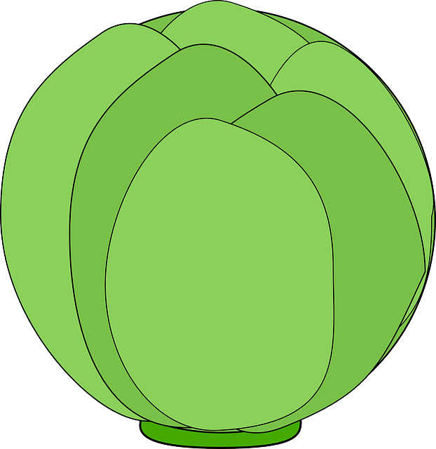 Free download Globe Artichoke Bud - Free vector graphic on Pixabay free illustration to be edited with GIMP free online image editor