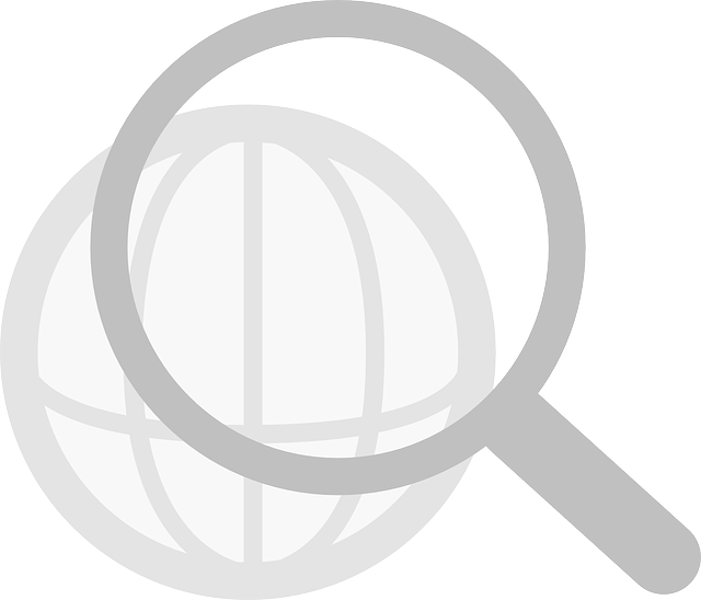 Free download Globe Magnifier Search - Free vector graphic on Pixabay free illustration to be edited with GIMP free online image editor