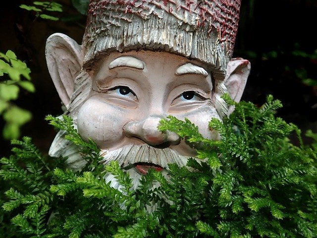 Free download Gnome Ferns Garden -  free photo or picture to be edited with GIMP online image editor