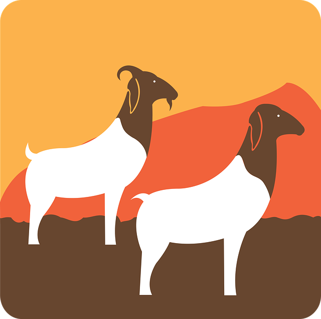 Free download Goats Kid Farm - Free vector graphic on Pixabay free illustration to be edited with GIMP free online image editor