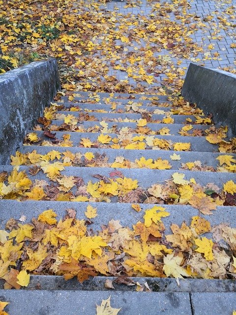 Free download Gold Stairs Leaves -  free photo or picture to be edited with GIMP online image editor