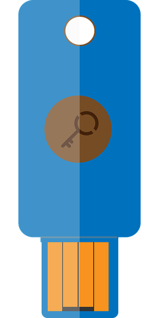 Free download Google Secure Key U2F Security - Free vector graphic on Pixabay free illustration to be edited with GIMP free online image editor