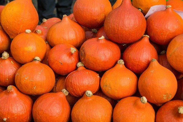 Free download Gourd Stacked Orange -  free photo or picture to be edited with GIMP online image editor