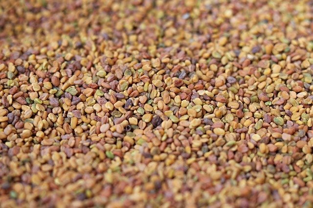 Free download Grain Herb Colours -  free photo or picture to be edited with GIMP online image editor