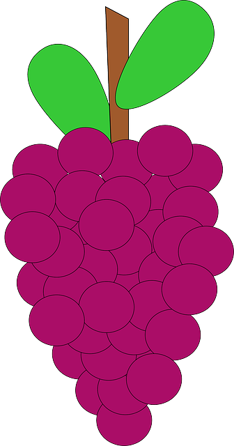 Free download Grapes Bunch Ripe - Free vector graphic on Pixabay free illustration to be edited with GIMP free online image editor