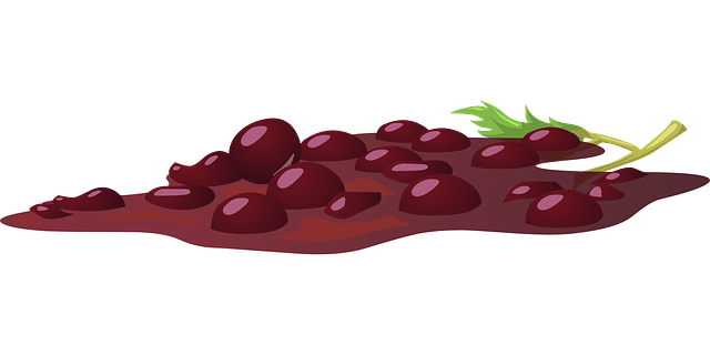 Free download Grapes Crushed Juice - Free vector graphic on Pixabay free illustration to be edited with GIMP free online image editor