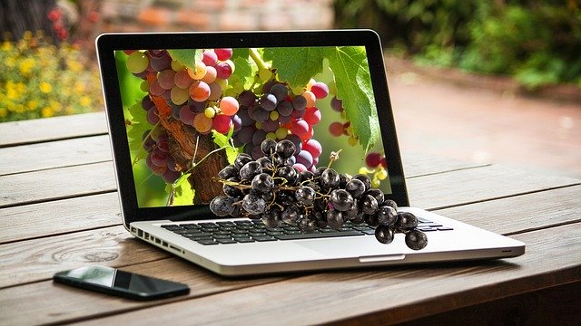 הורדה חינם Grapes Fruit Computer - איור חינם לעריכה עם עורך תמונות מקוון בחינם של GIMP