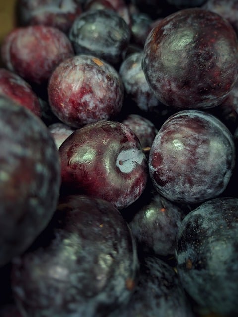 Free download grapes fruits food organic fresh free picture to be edited with GIMP free online image editor