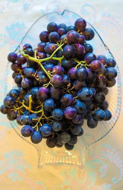 Free download Grapes Fruits Winegrowing -  free photo or picture to be edited with GIMP online image editor