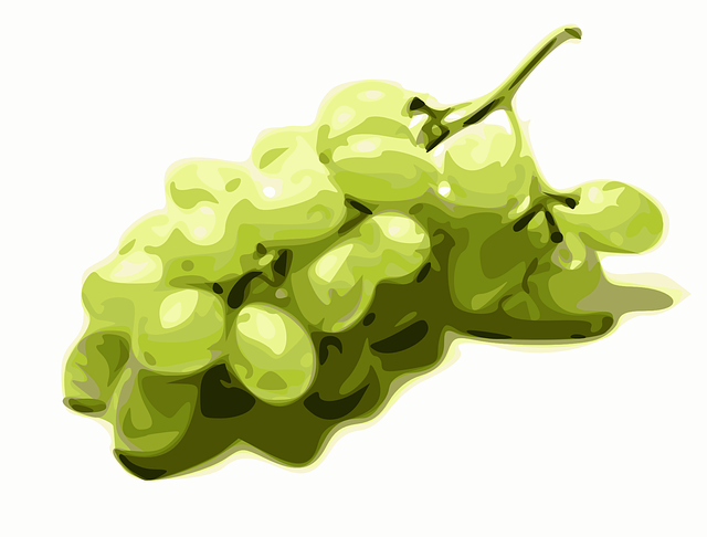 Free download Grapes Green Fruits - Free vector graphic on Pixabay free illustration to be edited with GIMP free online image editor